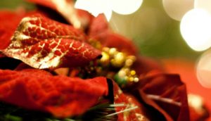 Quelles Fêtes les Mormons célèbrent-ils?