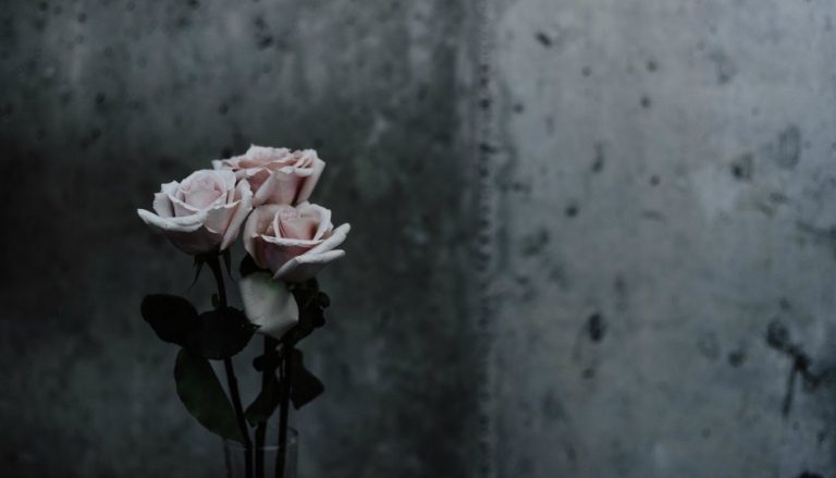 un hommage aux mères