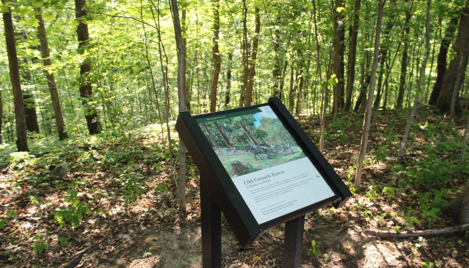Hill Cumorah